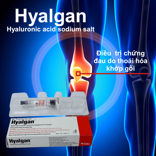 Thuốc tiêm nội khớp Hyalgan 20mg/2ml