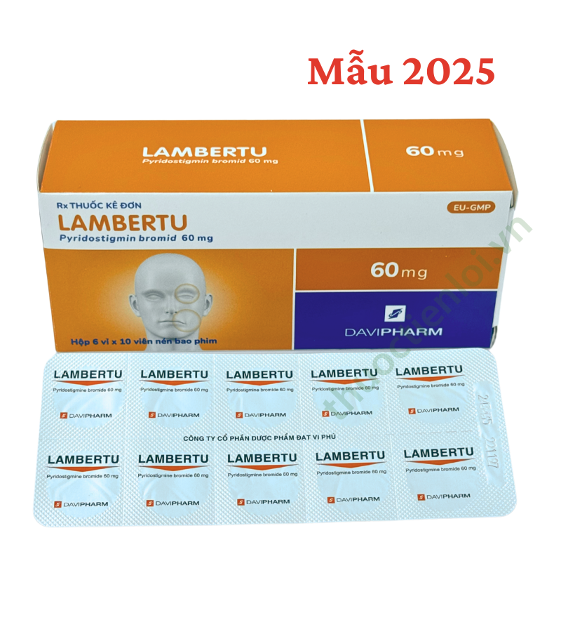 Lambertu 60mg Davipharm Thuốc Lambertu 60mg điều trị bệnh nhược cơ