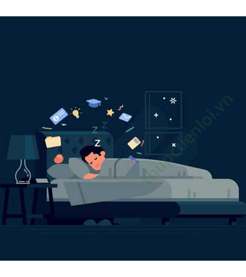 Khái niệm cơ bản về giấc ngủ