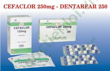 Cefaclor 125Mg Vidipha (H/12G) 1 Cefaclor 125Mg Vidipha (H/12G)