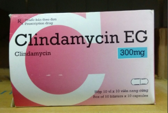 Clindamycin Eg (h/100v)