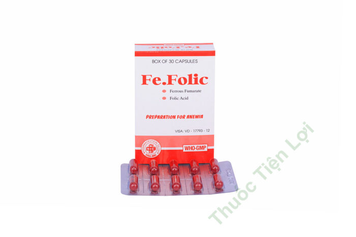 Fe Folic Extra Capsuales NIC Pharm (H/30V)