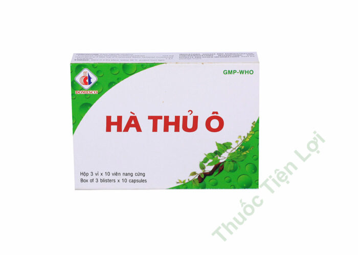 Hạ Hồi Đơn Hd Pharma (H/60V)._