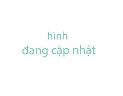Napharangan Codein Nam Hà (H/16V)
