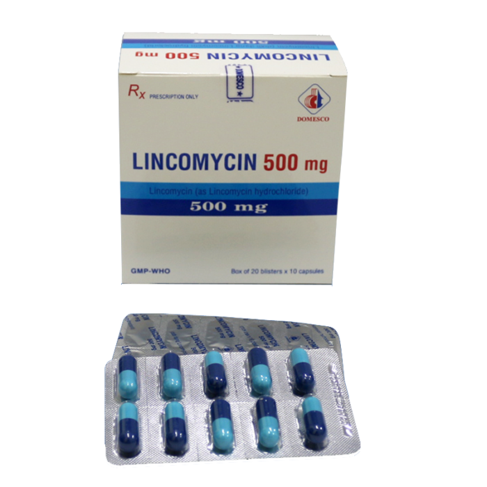 Lincomycin 500Mg - Domesco h/200v