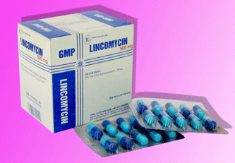 Lincomycin 500Mg - Nghệ An (h/100v)