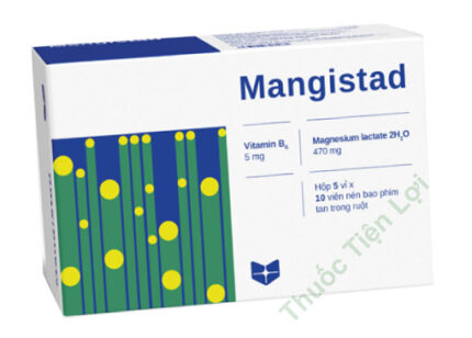 Mangistad Magne B6 Stada (H/50V)