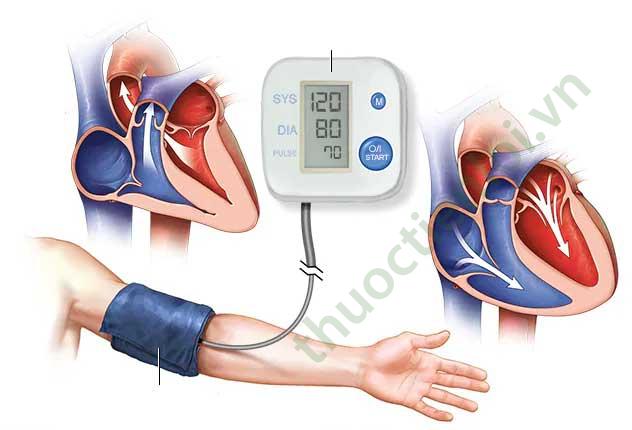 máy đo huyết áp