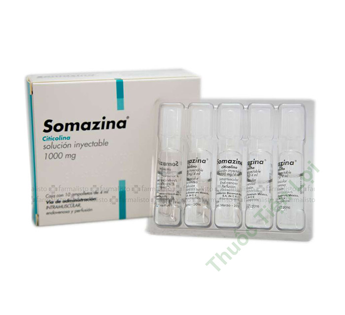 Somazina 1000 Mg Inj (H/5 Ống) - Thuốc Tiện Lợi