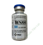 Tienam Via 500Mg 1S - MSD - Ảnh 2