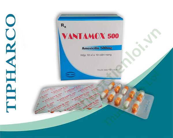 vantamox_500_amoxicilin_tipharco.jpg Vantamox 500 (Amoxicilin) - Tipharco (h/100v) - Ảnh 1