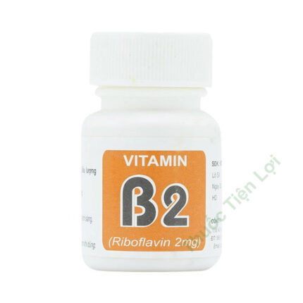 Vitamin B2 Riboflavin 2Mg Armephaco (Lốc/10C/100V)