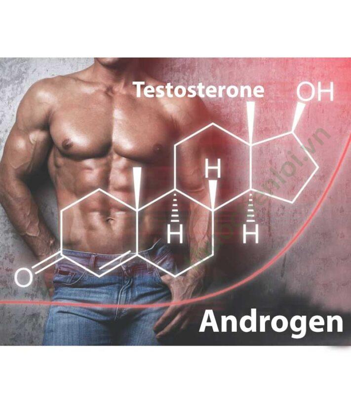 Androgel là gì?