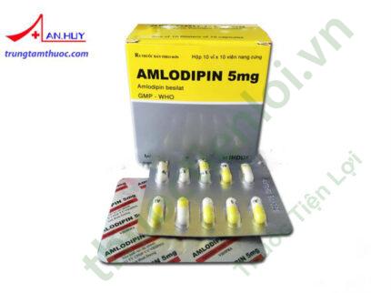Amlodipin 5Mg Vidipha (H/100V)(Nang)