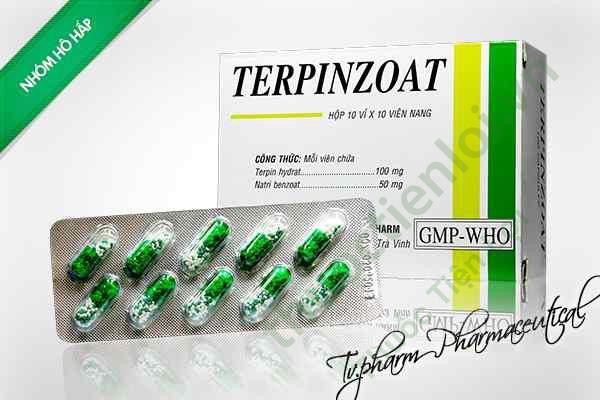 Terpinzoat Viên Nhộng T Terpinzoat Viên Nhộng T.V Pharm (H/100V)